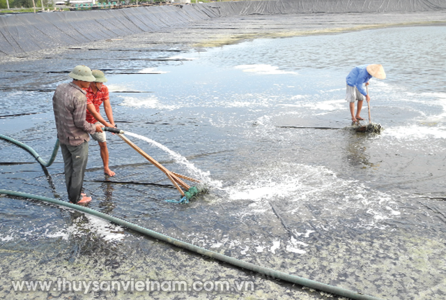 pond treatment