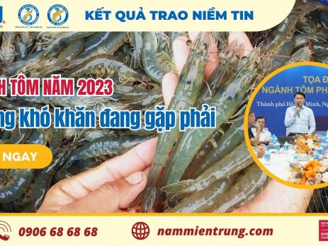 Ngành tôm năm 2023 Những khó khăn đang gặp phải - web