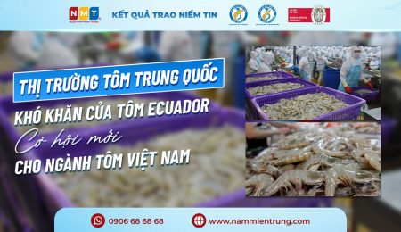 Khó khăn của tôm Ecuador, cơ hội mới cho ngành tôm Việt Nam