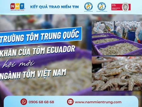 Khó khăn của tôm Ecuador, cơ hội mới cho ngành tôm Việt Nam