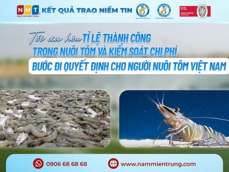Tối Ưu Hóa Tỉ Lệ Thành Công Trong Nuôi Tôm và Kiểm Soát Chi Phí